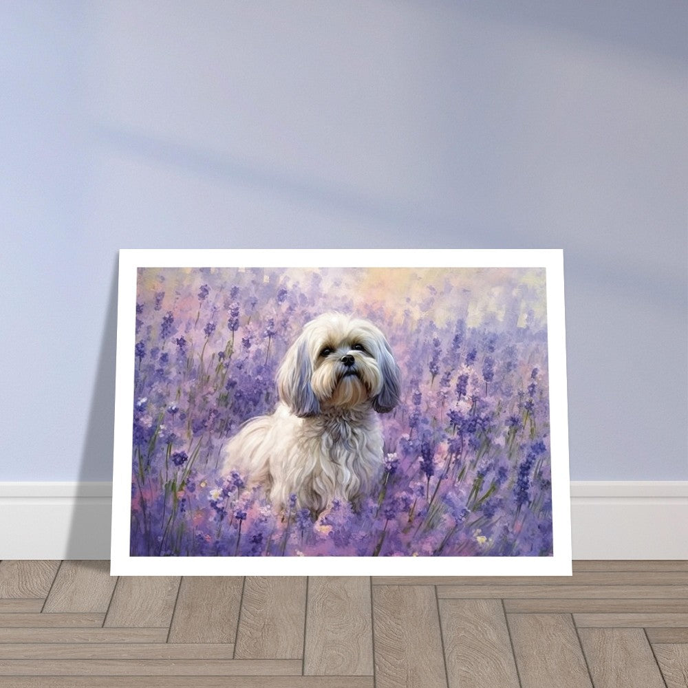 2ac504d7-5fbb-4f30-a99e-660cf963e04b