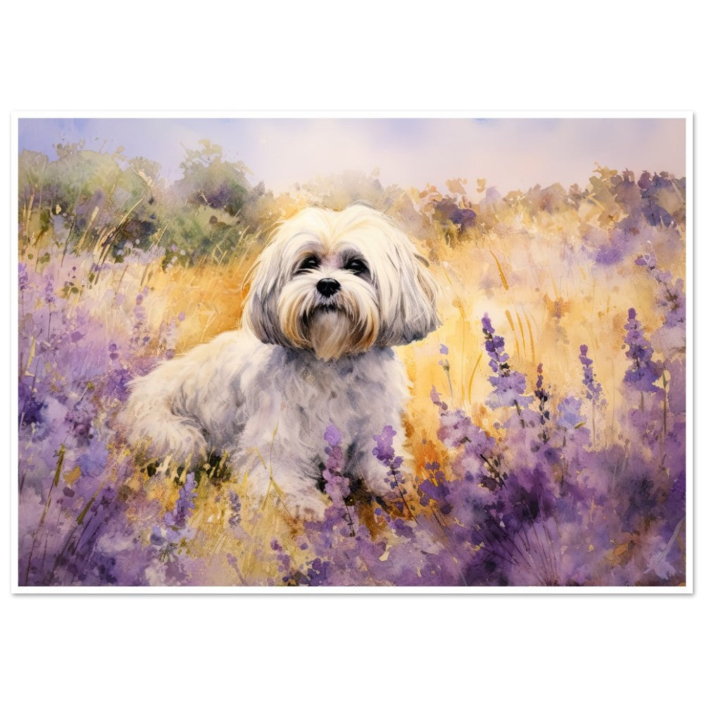 b85377ff-6f23-491d-ad3f-ed40b7af36ef